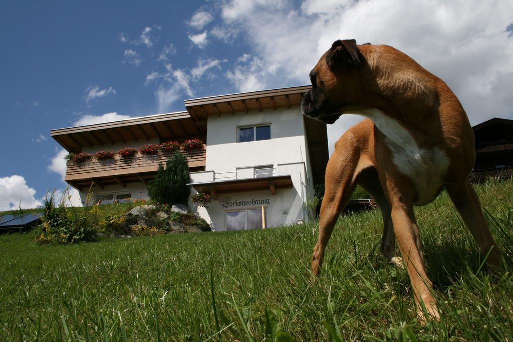 Ferienwohnung Moralé Seefeld in Tirol Camera foto